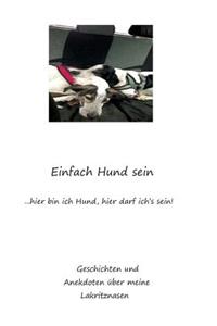 Einfach Hund sein