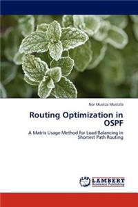 Routing Optimization in OSPF