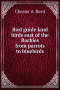 Bird guide land birds east of the Rockies from parrots to bluebirds