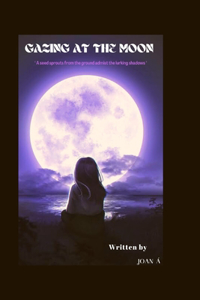 Gazing at the Moon