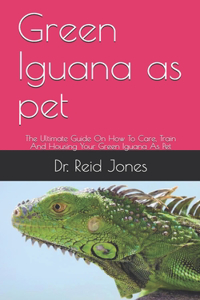 Green Iguana as pet