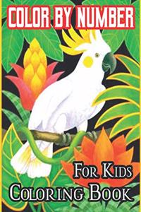Color By Number For Kids Coloring Book