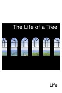 The Life of a Tree