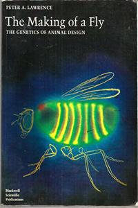 The Making of a Fly