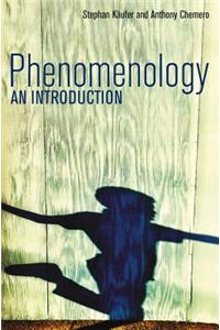 Phenomenology