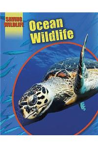 Ocean Wildlife