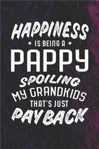 Happiness Is Being A Pappy Spoiling My Grandkids That's Just Payback