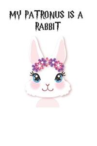 My Patronus Is A Rabbits