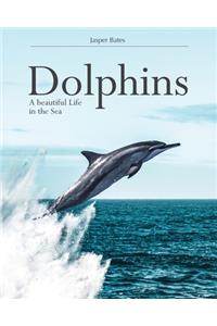 Dolphins, A beautiful life in the sea