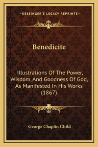 Benedicite: Illustrations Of The Power, Wisdom, And Goodness Of God, As Manifested In His Works (1867)