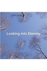 Looking into Eternity 2017