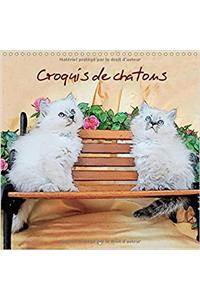 Croquis de Chatons 2017