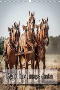 Agriculture, Images D'antan 2017
