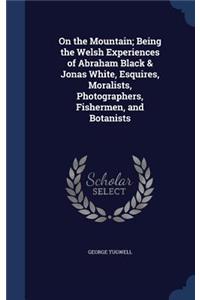 On the Mountain; Being the Welsh Experiences of Abraham Black & Jonas White, Esquires, Moralists, Photographers, Fishermen, and Botanists