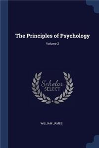 Principles of Psychology; Volume 2