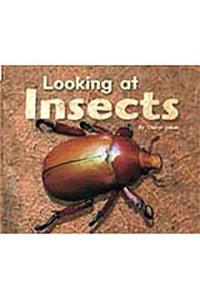 Rigby Flying Colors: Individual Student Edition Red Looking at Insects