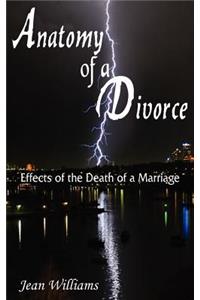 Anatomy of a Divorce
