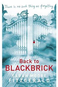 Back to Blackbrick
