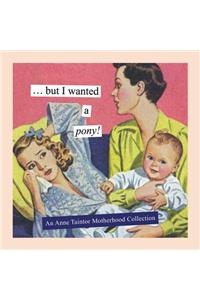 But I Wanted a Pony!