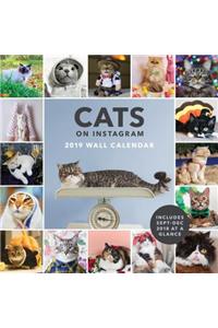 2019 Wall Calendar: Cats on Instagram