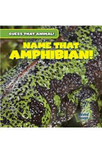 Name That Amphibian!