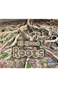 All about Roots