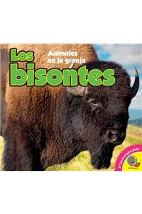 Los Bisontes