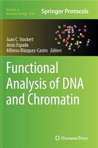 Functional Analysis of DNA and Chromatin