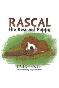 Rascal the Rescued Puppy