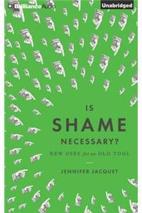 Is Shame Necessary?