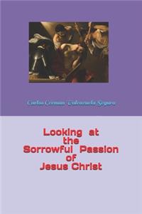 Looking at the Sorrowful Passion of Jesus Christ