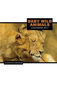 Baby Wild Animals Calendar 2017