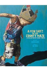 A Few Dayz In The County Maze