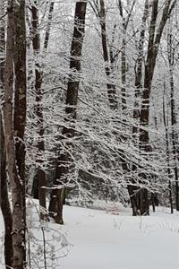 Journal Winter Picture Snowy Trees