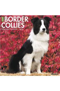 BORDER COLLIES 2020 WALL CALENDAR