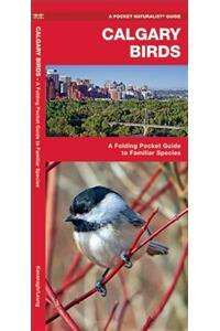 Calgary Birds