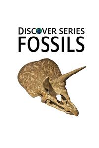 Fossils