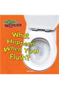 What Happens When You Flush?