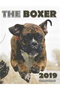 The Boxer 2019 Calendar