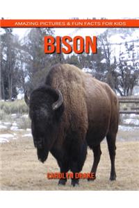 Bison