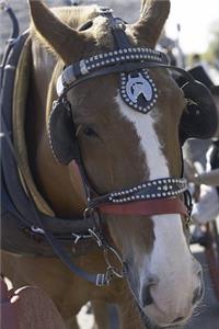 2020 Daily Planner Horse Photo Equine Carriage Horse 388 Pages