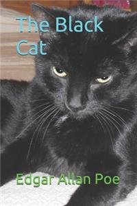 The Black Cat