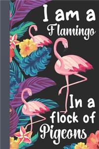 I Am A Flamingo In A Flock Of Pigeons