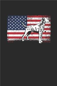 USA Dalmatian