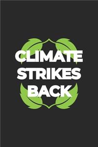 Climate Strikes Back