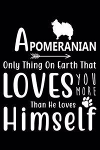 A Pomeranian only thing on earth that loves you more than he loves himself