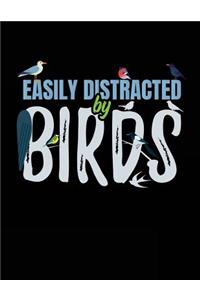 Easily Distracted By Birds