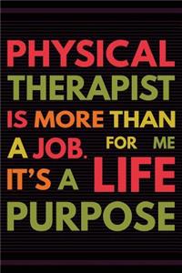 Physical Therapist is More Than a Job