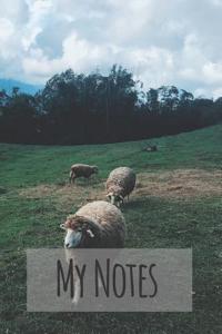 My Notes