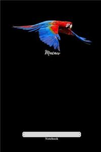 Macaw